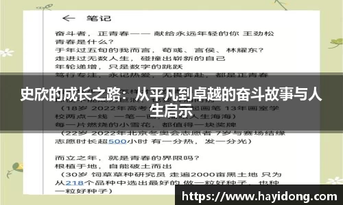 史欣的成长之路：从平凡到卓越的奋斗故事与人生启示